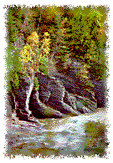 Pigeon River gorge