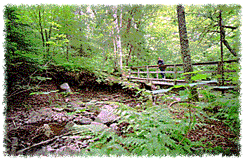 Bridge on Superior Hiking Trail